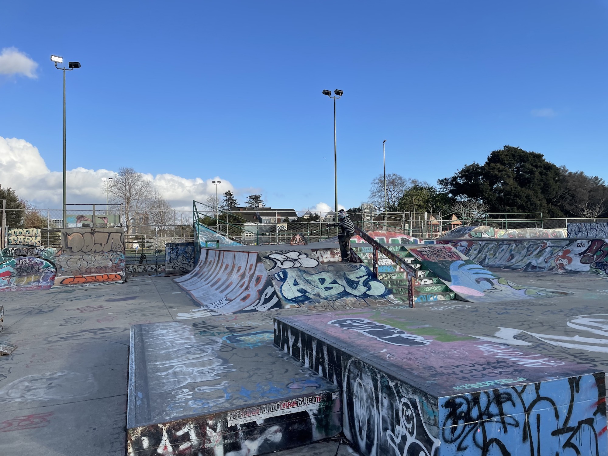 De Fremery skatepark